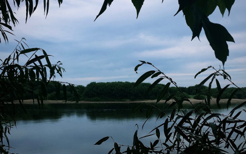 В Кировской области нашли тело пропавшего мужчины