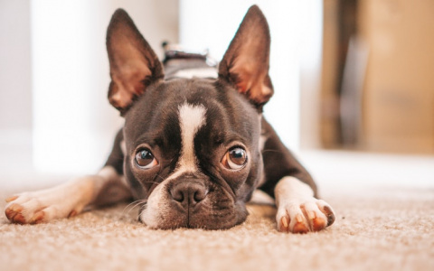 Девы добьются новых высот, а Рыбам лучше держать язык за зубами: гороскоп на выходные