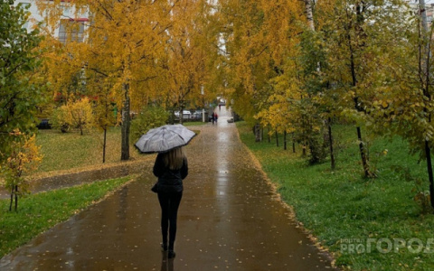 В Кирове прогнозируют резкое похолодание и приход дождей: прогноз погоды на неделю