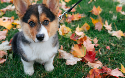 Раки сделают выбор, а Водолеи избавятся от ненужного: гороскоп на неделю