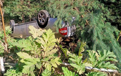 В Кировской области на трассе погиб мужчина