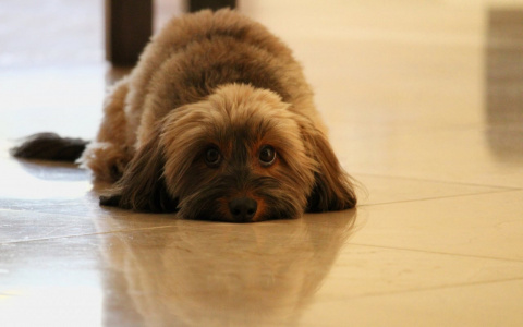 Весы вспомнят о былых чувствах, а Козерогам пора что-то менять: гороскоп на вторник