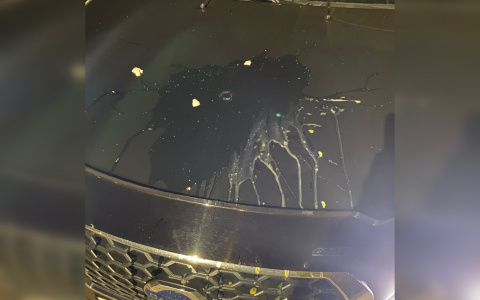 Уголовка и административка: что грозит кировчанам, которые бросаются вещами из окон