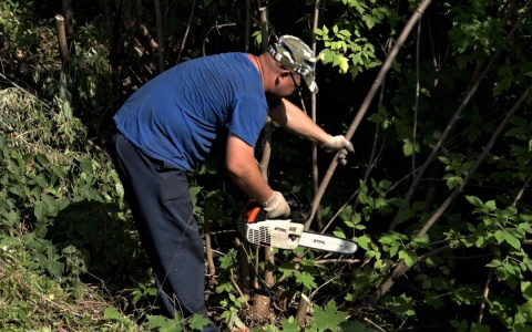 В мэрии напомнили, что заросли на набережной уберут до конца сентября