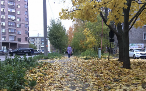 Перепады температур и мокрый снег: известен прогноз погоды на неделю в Кирове
