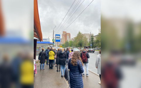 Кировчане жалуются на переполненные автобусы: известна причина