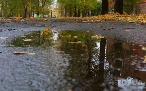 Придет ли в Кировскую область тепло: прогноз погоды на сентябрь