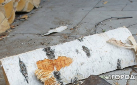 В Кировской области нашли убитым пенсионера