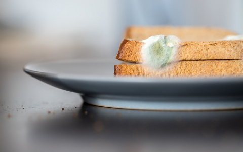 Кировские родители пожаловались на хлеб с плесенью в школьных столовых