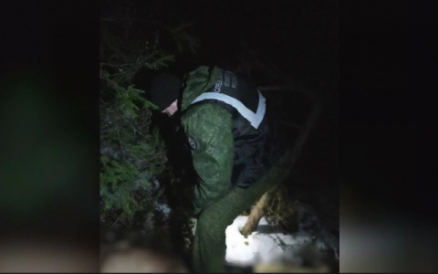 В лесу Кировской области нашли тело 23-летнего парня