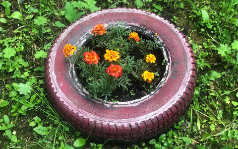 Кировчане больше не смогут украшать дворы клумбами из покрышек: дискуссия вокруг запрета