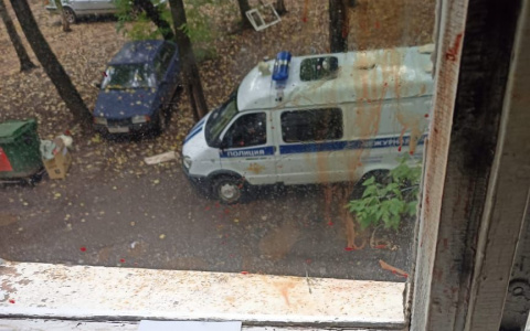 В Кирове мужчина выкинул из окна сожительницу и стал добивать ее на улице