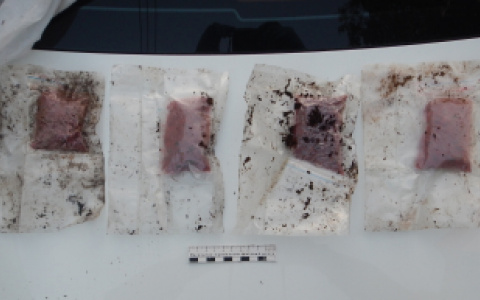 В Кирове задержали наркоторговца с крупной партией «товара»