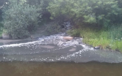 Мурыгинское предприятие заплатит штраф за загрязнение реки Медянки