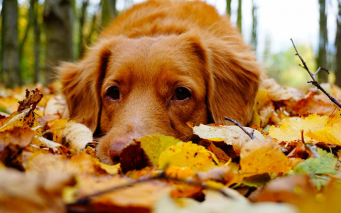 Водолеев будут ревновать, а Раки столкнутся с противоречиями: гороскоп на вторник