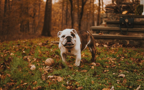 Водолеи расставят точки над «i», а Раки избавятся от одиночества: гороскоп на среду
