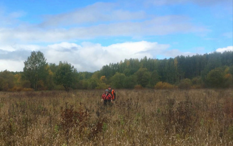 «Выкладывала стрелки из грибов и не унывала»: волонтеры о поиске пропавшей кировчанки
