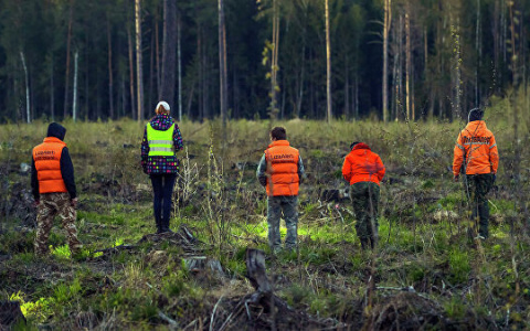 Билайн и ВКонтакте поддержат выпуск сериала «Неспокойные ночи. LizaAlert»