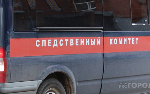 В Кирове на 14-летнего подростка завели уголовное дело