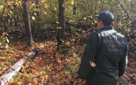 Тело нашли в лесу: появились подробности гибели 31-летнего кировчанина