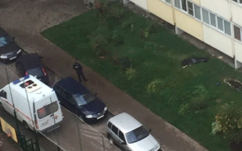 В Кирове на Заводской из окна высотки выпал человек
