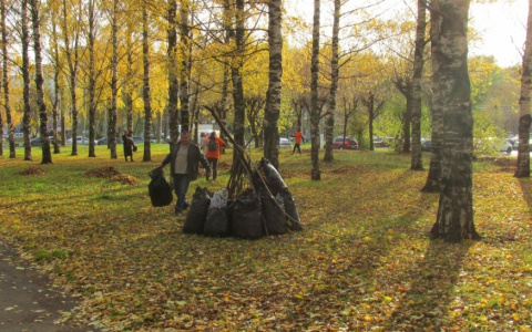 В Кирове в Александровском парке прошел общегородской субботник