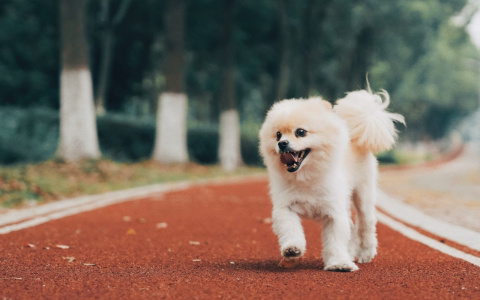 Раки убегут от рутины, а Тельцов могут пристыдить: гороскоп на вторник