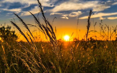 В Кировской области возможны перебои в телерадиовещании