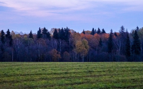 В Кировской области полицейские всю ночь искали пропавшего пенсионера