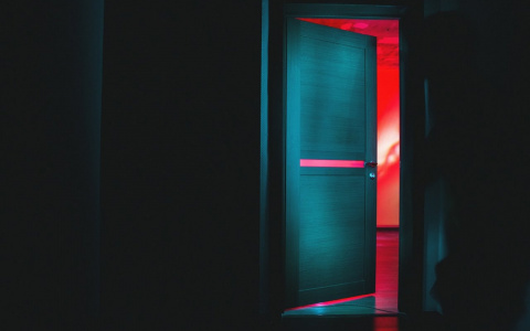 Массив или МДФ: какой материал лучше подходит для вашей квартиры?