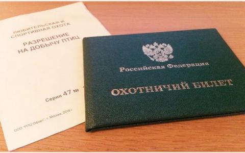 В октябре в Кировской области открывается сезон охоты на ондатру, бобра и выдру