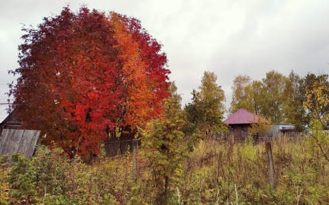 В выходные кировчан ждет хмурая погода: прогноз на субботу и воскресенье