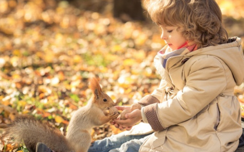 Никаких «ми-ми-ми»: четыре способа знакомства детей с миром животных