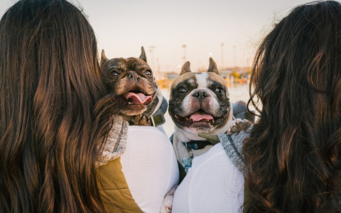 Раки пойдут на риски, а Тельцы переосмыслят все: гороскоп на вторник