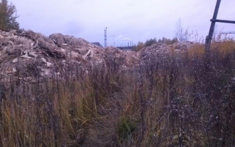 Под Котельничем нашли новую свалку древесных отходов