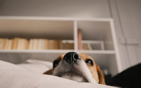 Овны склонны к авантюрам, а Водолеев заставят поревновать: гороскоп на среду