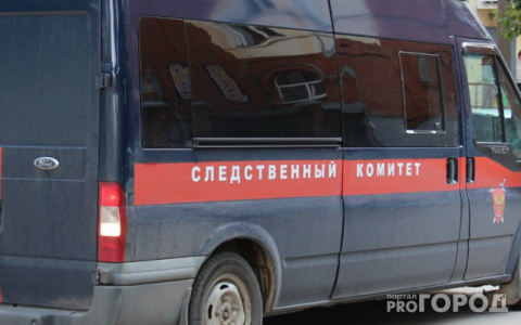 В Кирове на улице Щорса мужчина убил пожилую мать