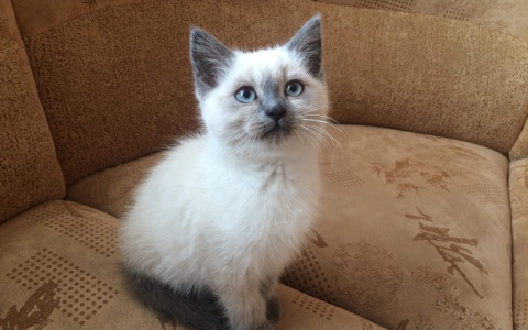 Весов ждут веселье и азарт, а Тельцов – обрыв старых связей: гороскоп на выходные