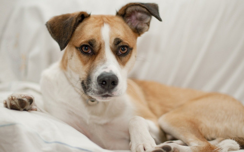 Овнам стоит высыпаться, а Стрельцам нужно есть меньше соли: гороскоп здоровья для всех знаков зодиака на неделю