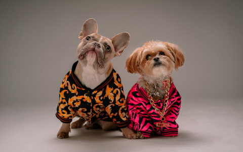 Львам «предъявят» за дерзость, а Рыбы рискуют остаться ни с чем: гороскоп на вторник