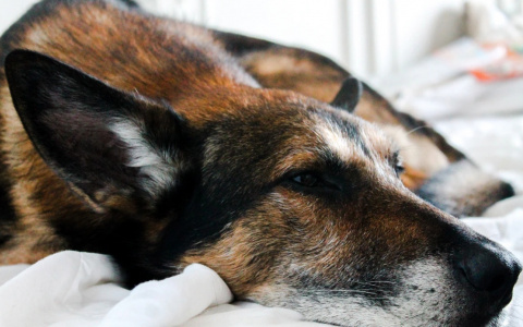 Близнецы заглянут в будущее, а Стрельцы захотят перемен: гороскоп на среду