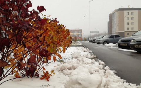В Кирове солнечная погода сменится на снегопады и дожди: прогноз на неделю