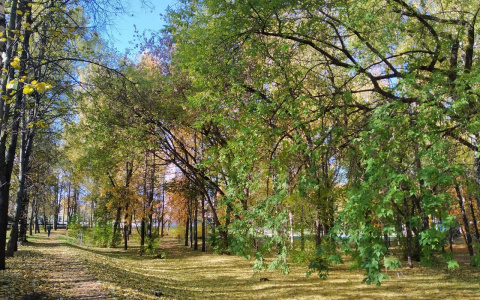 В Кирове появится парк с зонами отдыха и велосипедной трассой