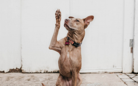 Весы рискуют перегореть, а Львов потянет на эксперименты: гороскоп на пятницу