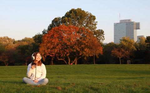 Клиенты Tele2 смогут пользоваться подпиской «Яндекс Плюс» два месяца бесплатно