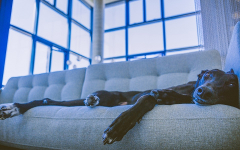 Рыбам захочется перемен, а Девам – одиночества: гороскоп на среду