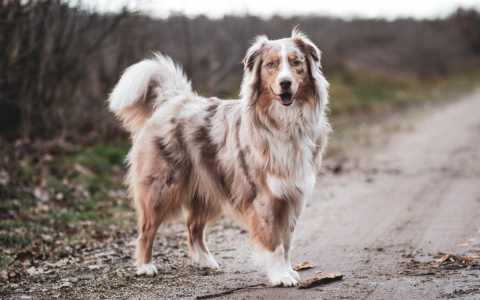 Львы выйдут из застоя, а Рыбы обидятся на весь мир: гороскоп на неделю