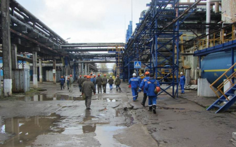 Власти рассказали, какие предприятия будут работать в нерабочие дни