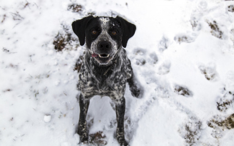 Близнецы погрязнут в быту, а Раки исправят ошибки прошлого: гороскоп на среду