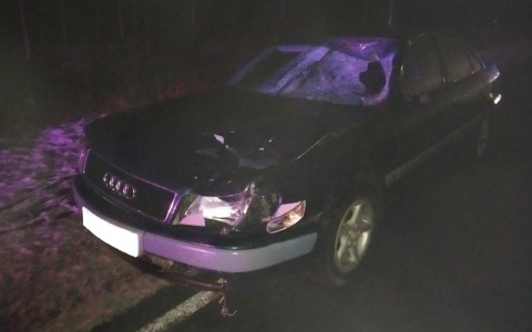 В Кировской области водитель Audi насмерть сбил пешехода